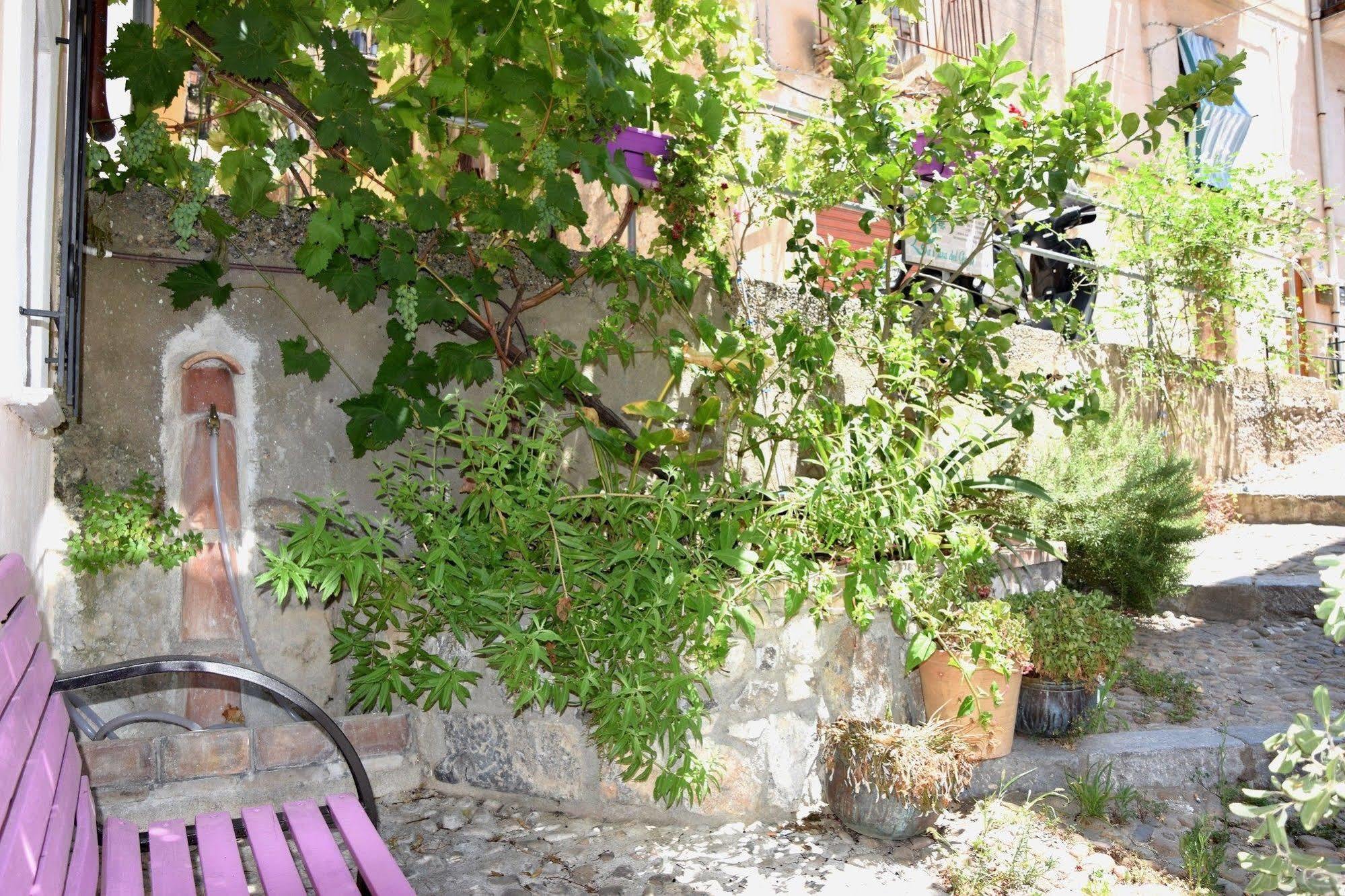 Bed and Breakfast La Casa Del Geko Cefalù Zewnętrze zdjęcie